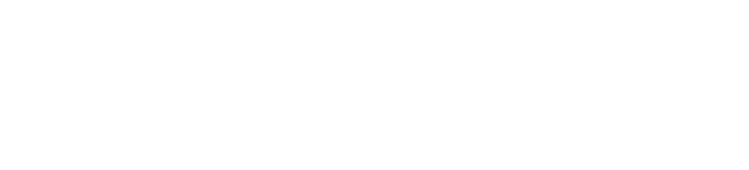 Visit Group footer logo