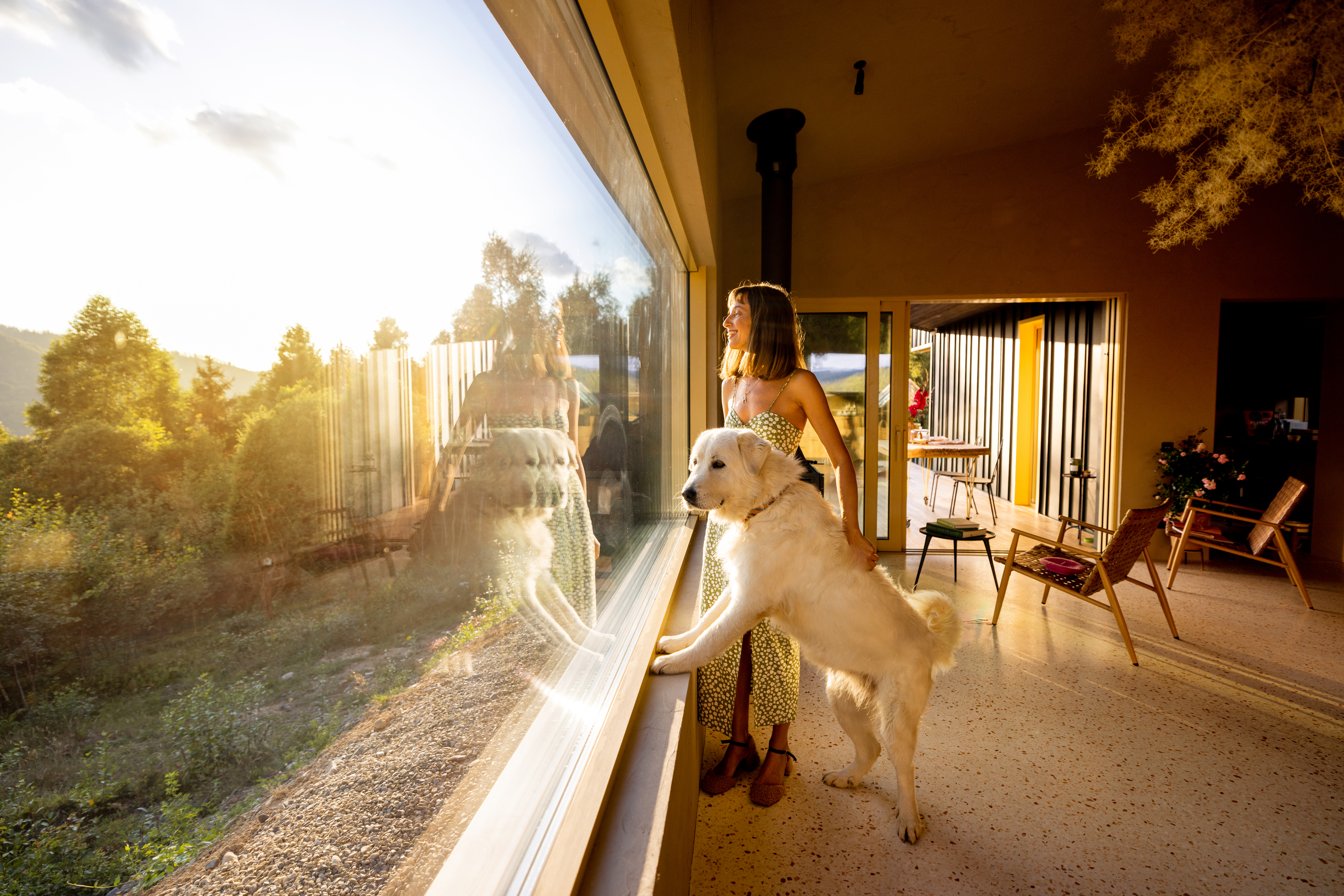 Woman and dog looking out the window