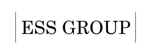 Visit Group Partner Logo
