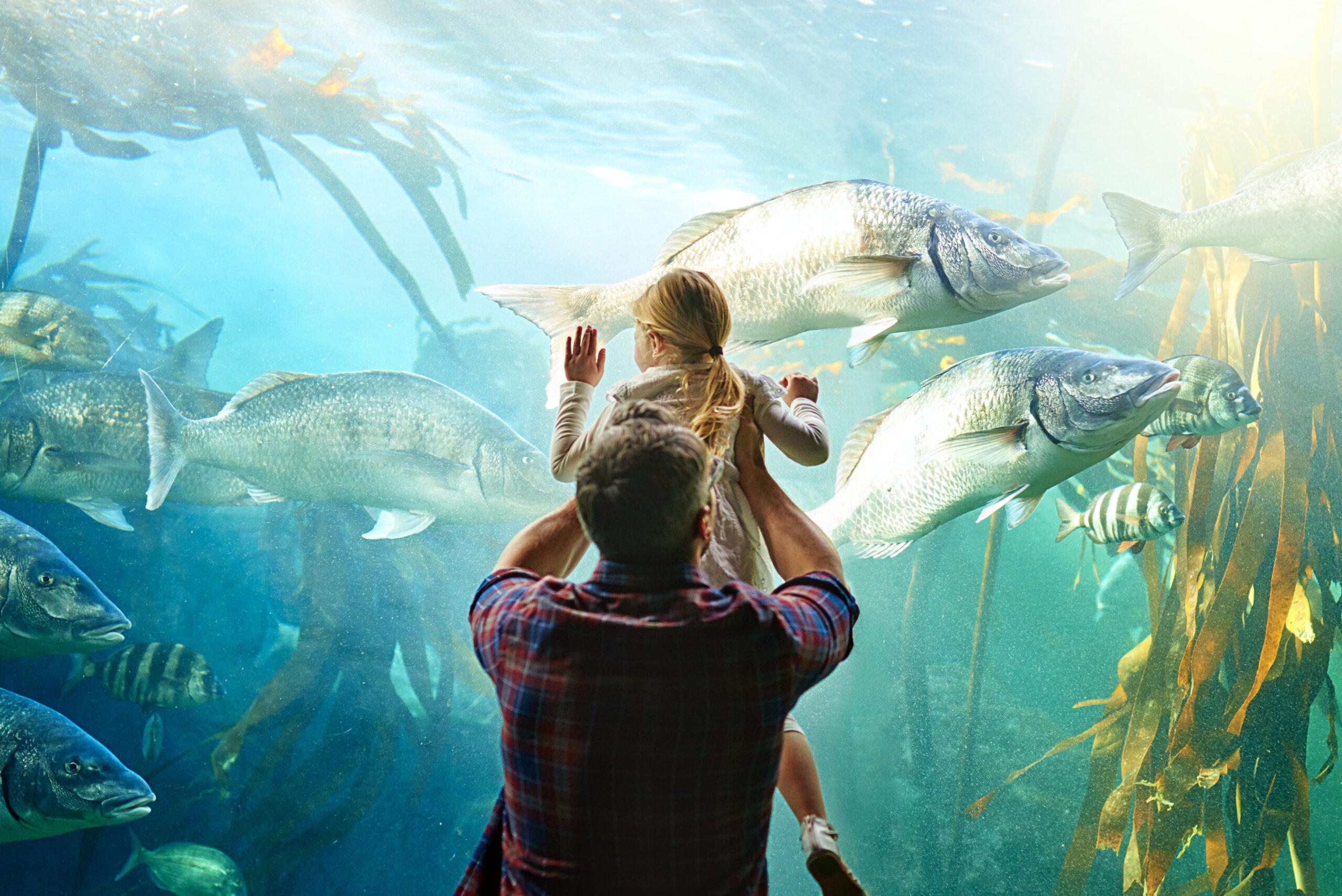 Attractions that sell smarter, run smoother, and create better guest experiences