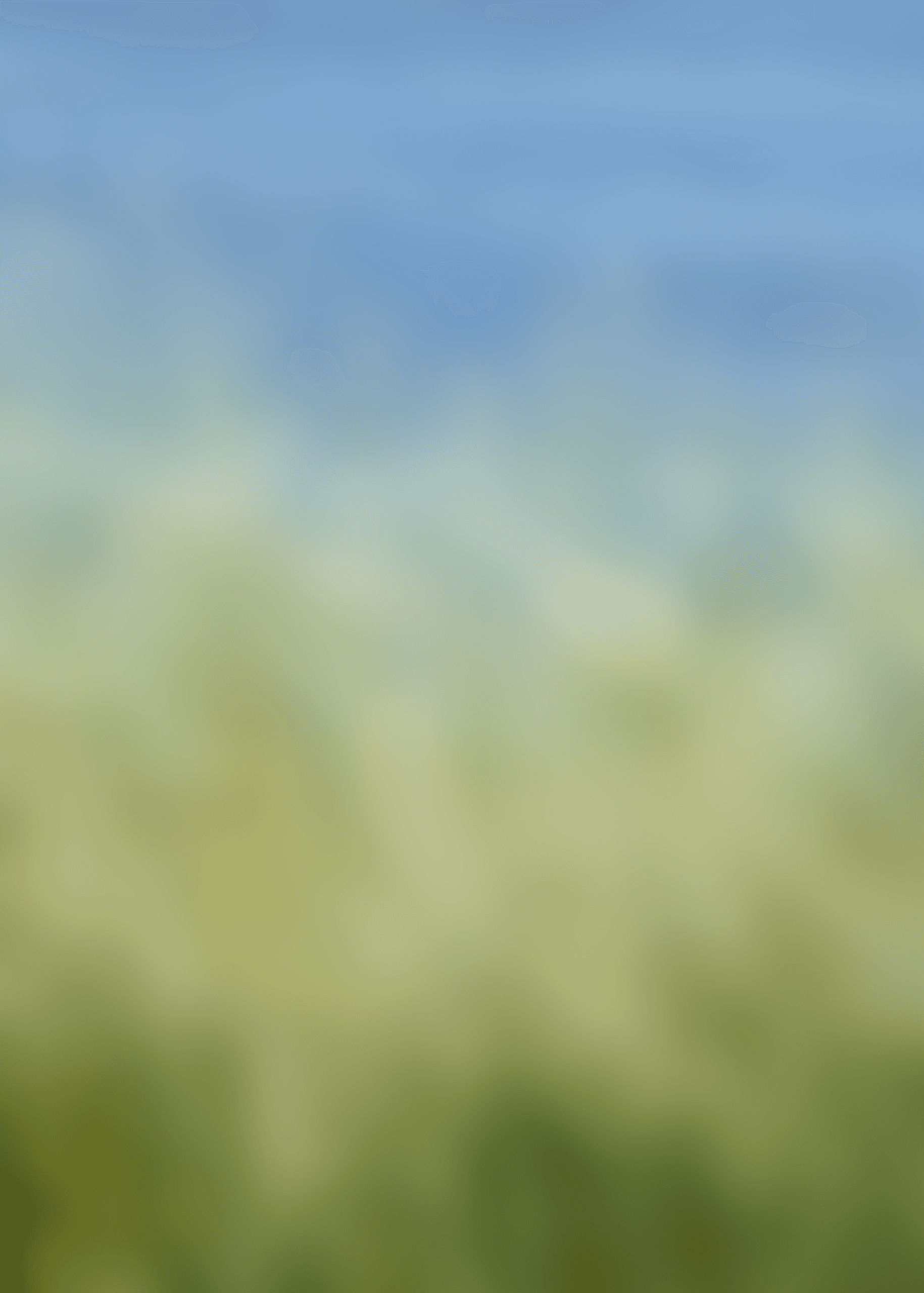 a blurry image of a field of grass