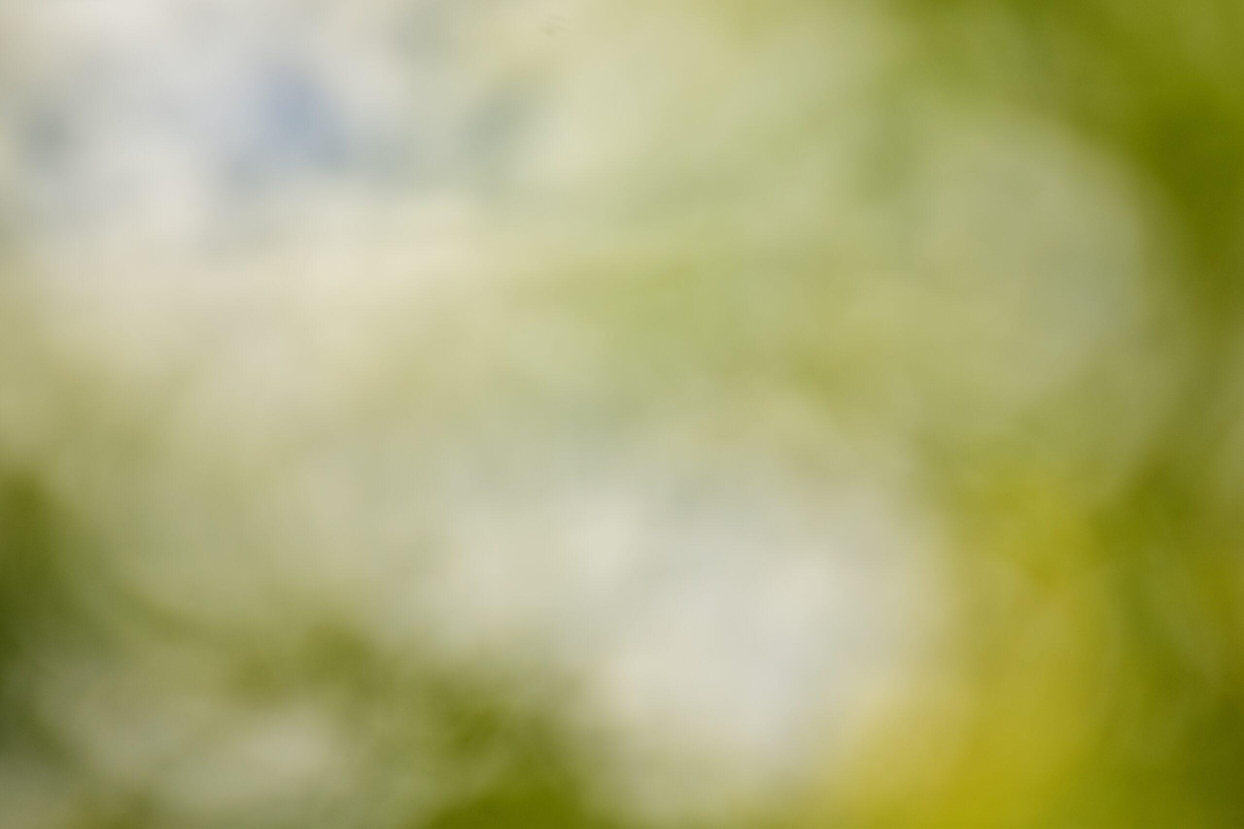 a blurry image of a field of grass